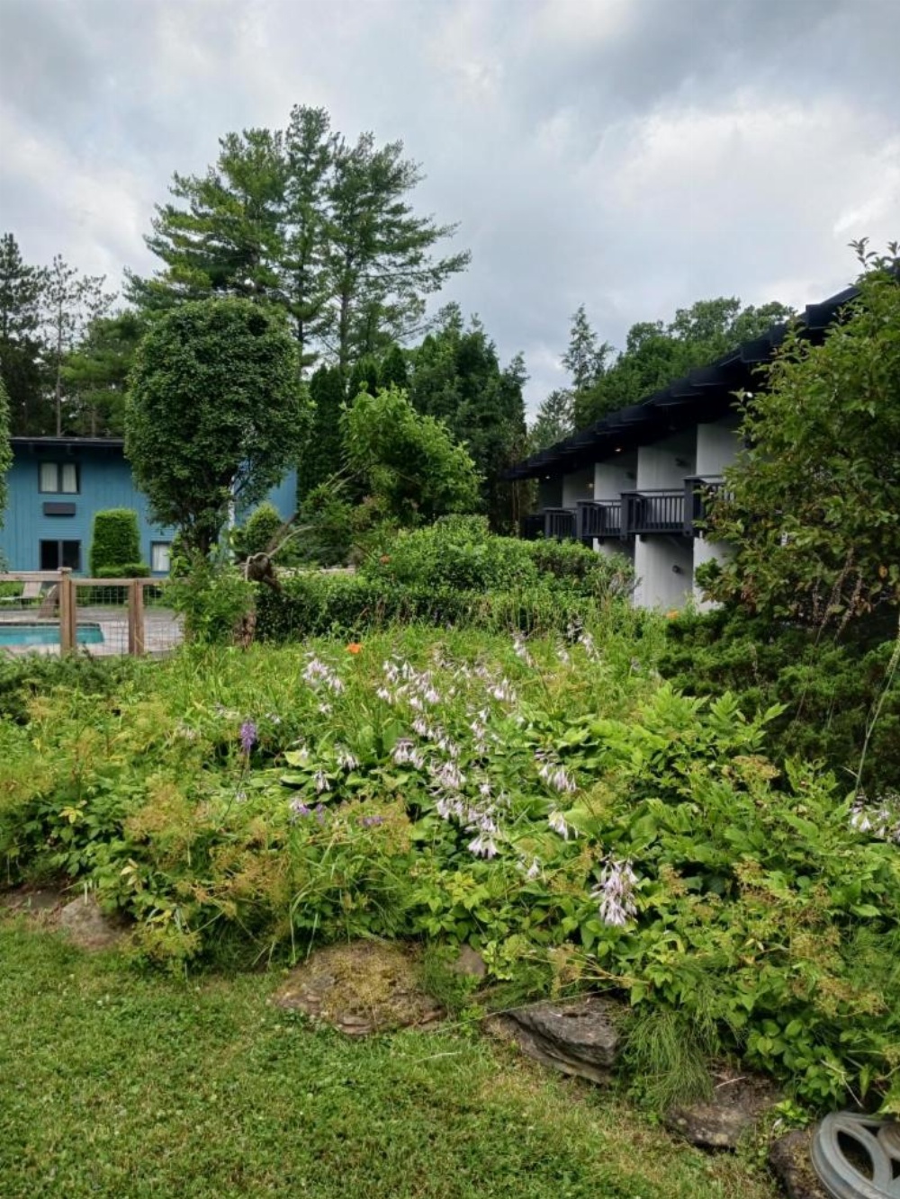 The Hotel Vervana at Bennington Main image